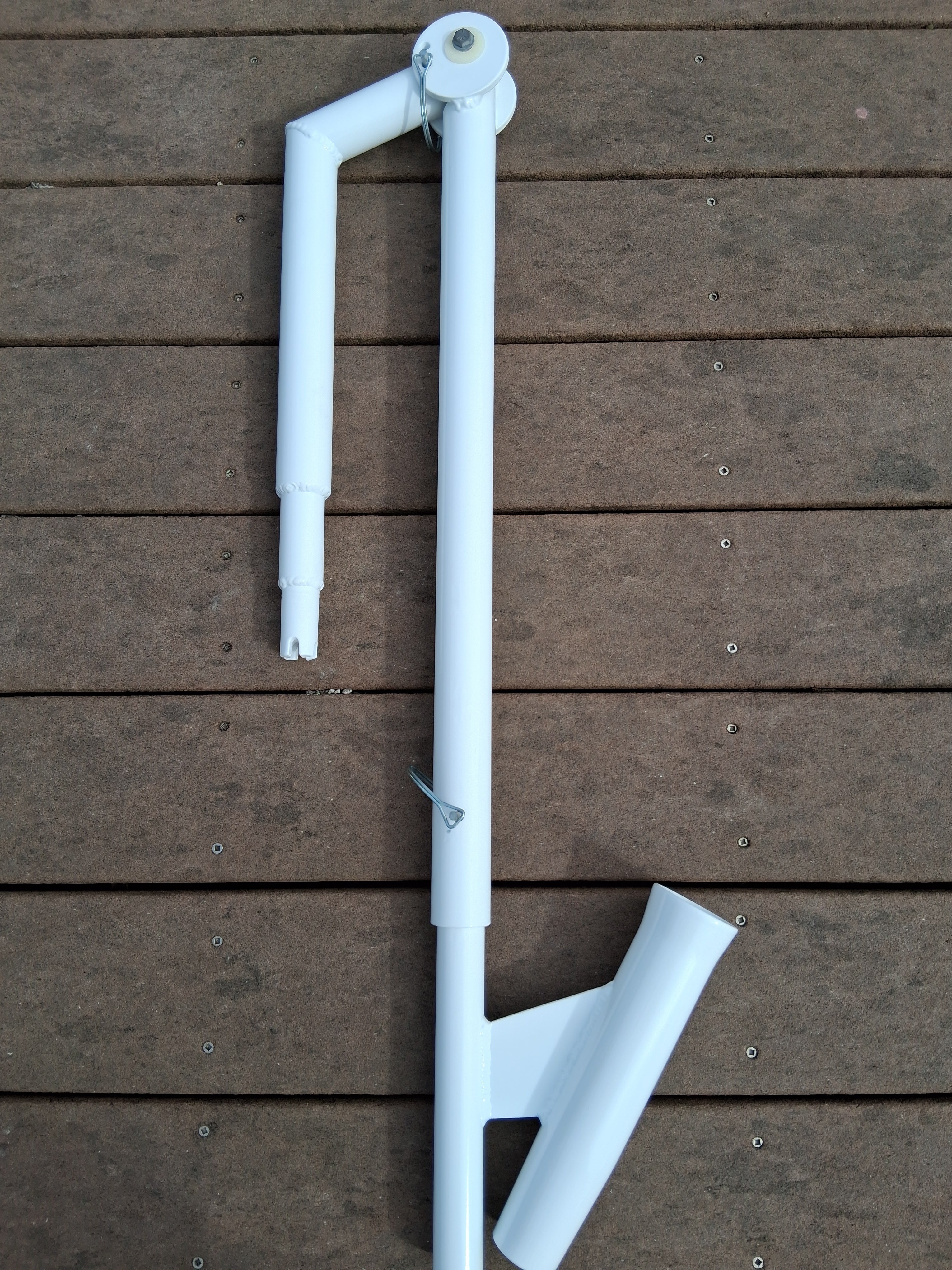 The Dropback Catch - Beluga Whale White