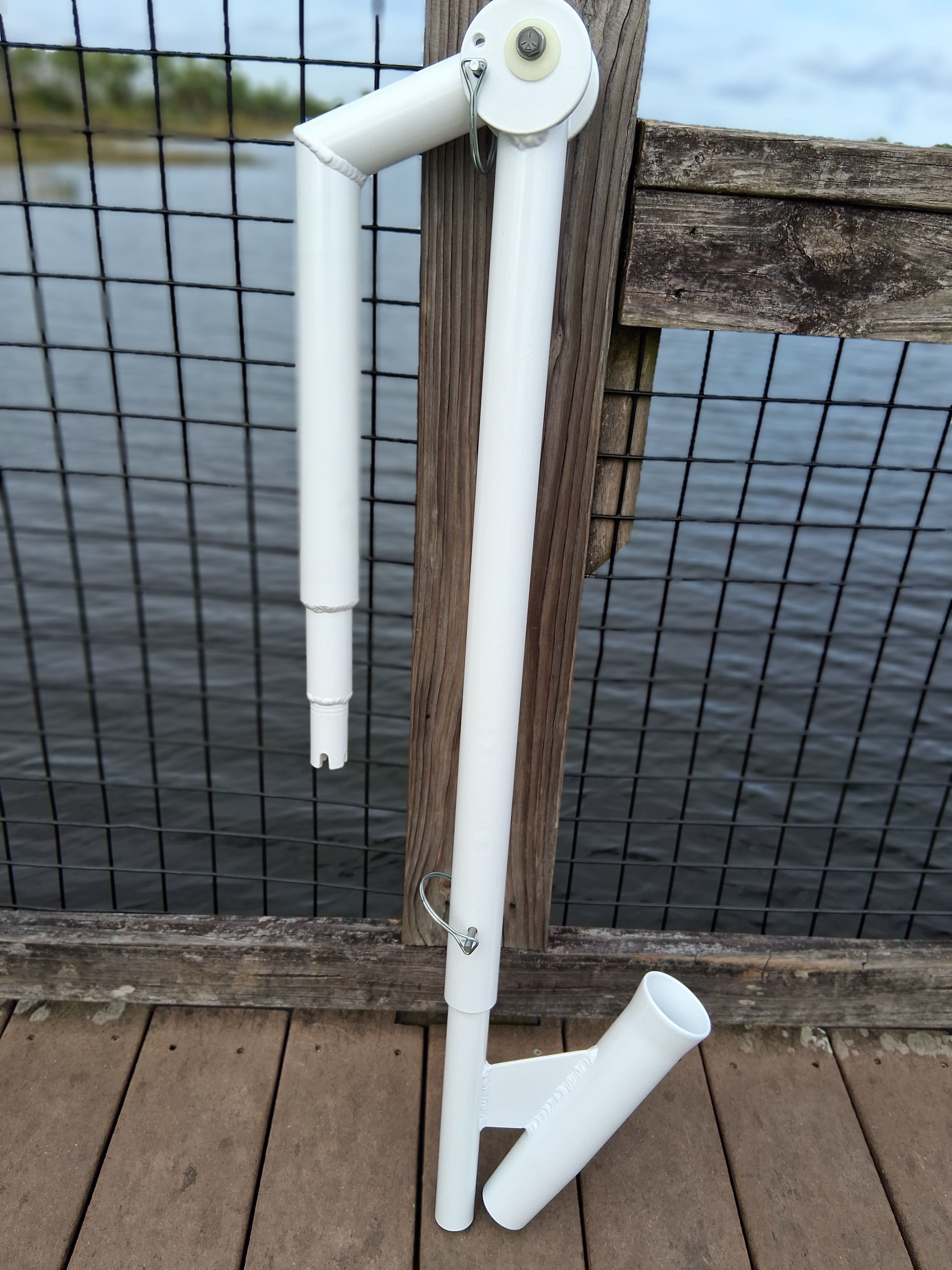 The Dropback Catch - Beluga Whale White