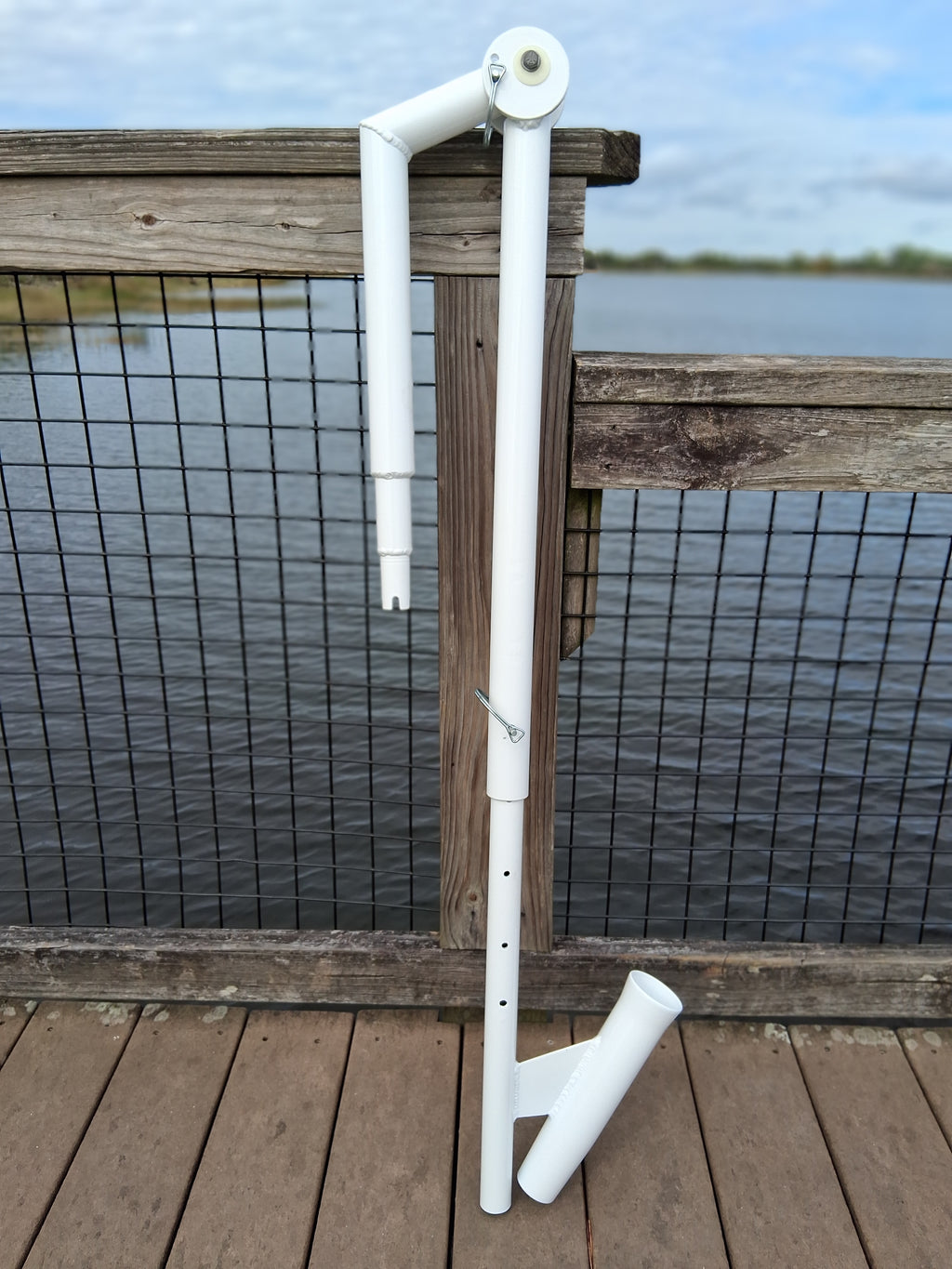 The Dropback Catch - Beluga Whale White