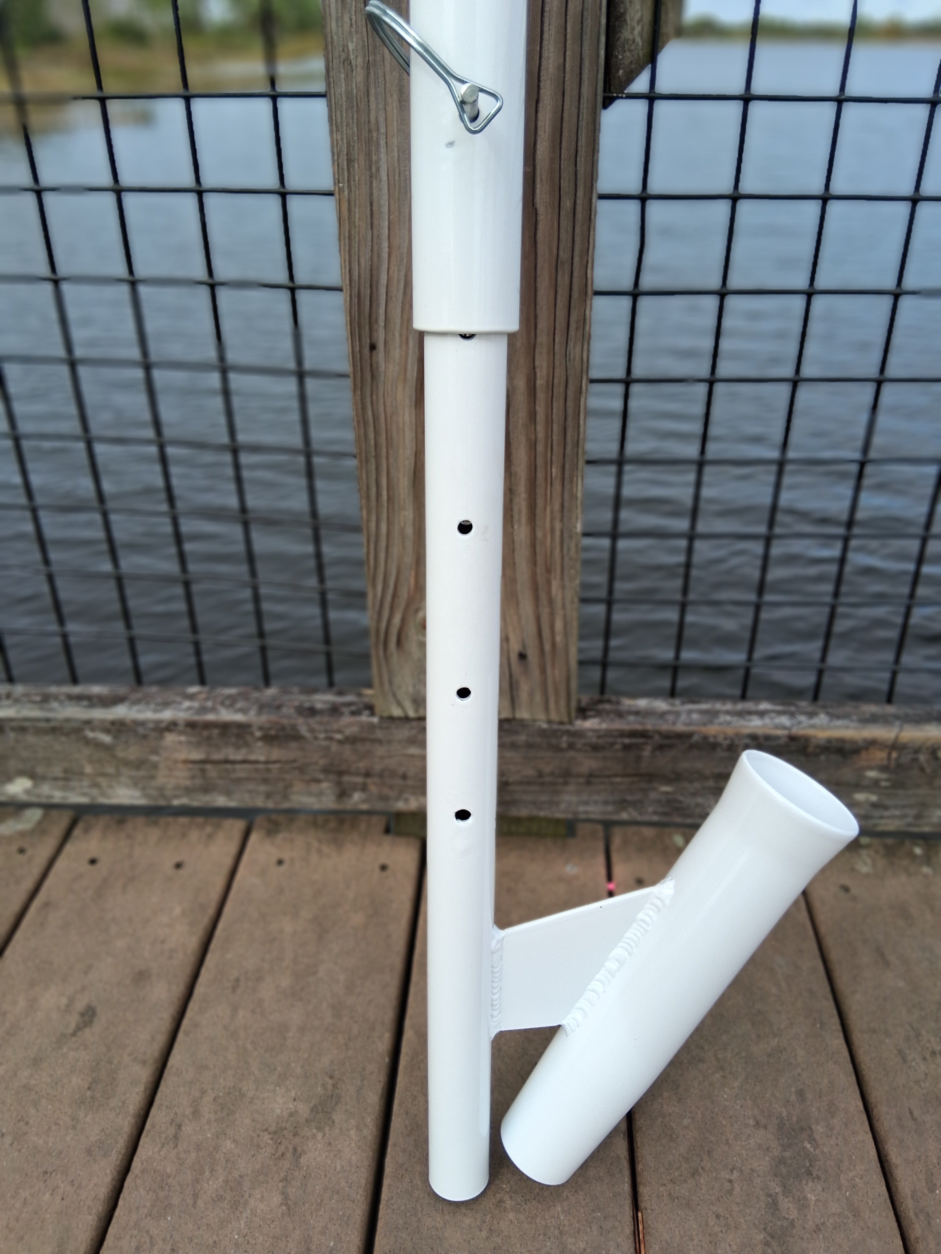 The Dropback Catch - Beluga Whale White